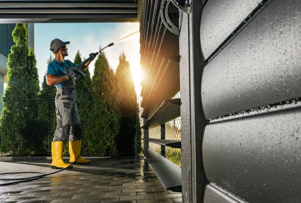 Best Pressure Washing Contractors  in Roanoke, IL