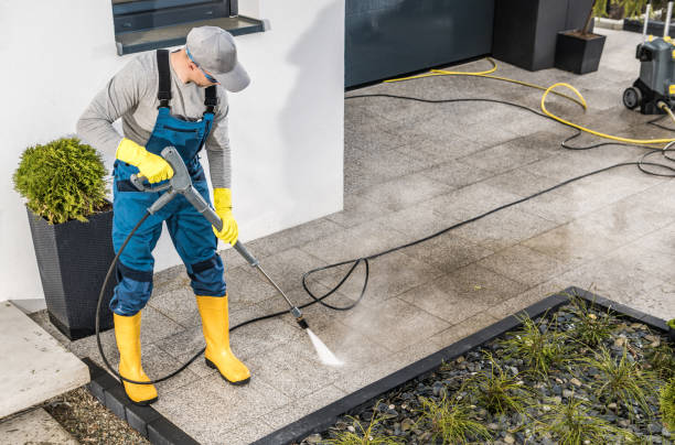 Best Pressure Washing Near Me  in Roanoke, IL